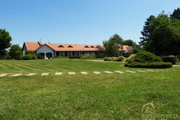 fotok-sarahotel-03B7030C5D-DB79-E908-CC08-FEA147329216.jpg