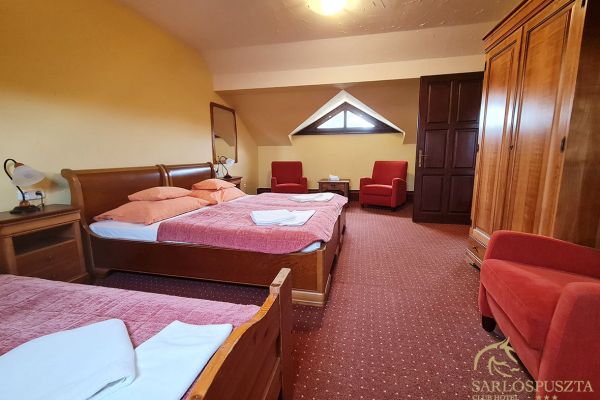 sara-szoba05-066C50CF97-3BB5-EBED-8484-241EC85BEAB4.jpg